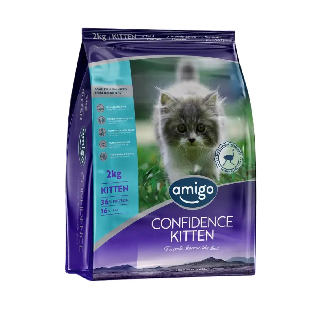 Amigo Confidence Kitten