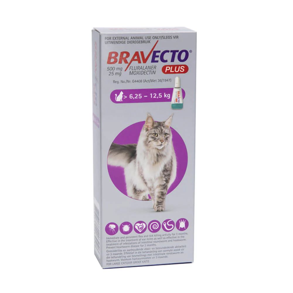 Bravecto Plus Cat 6.25 - 12.5kg (Purple)