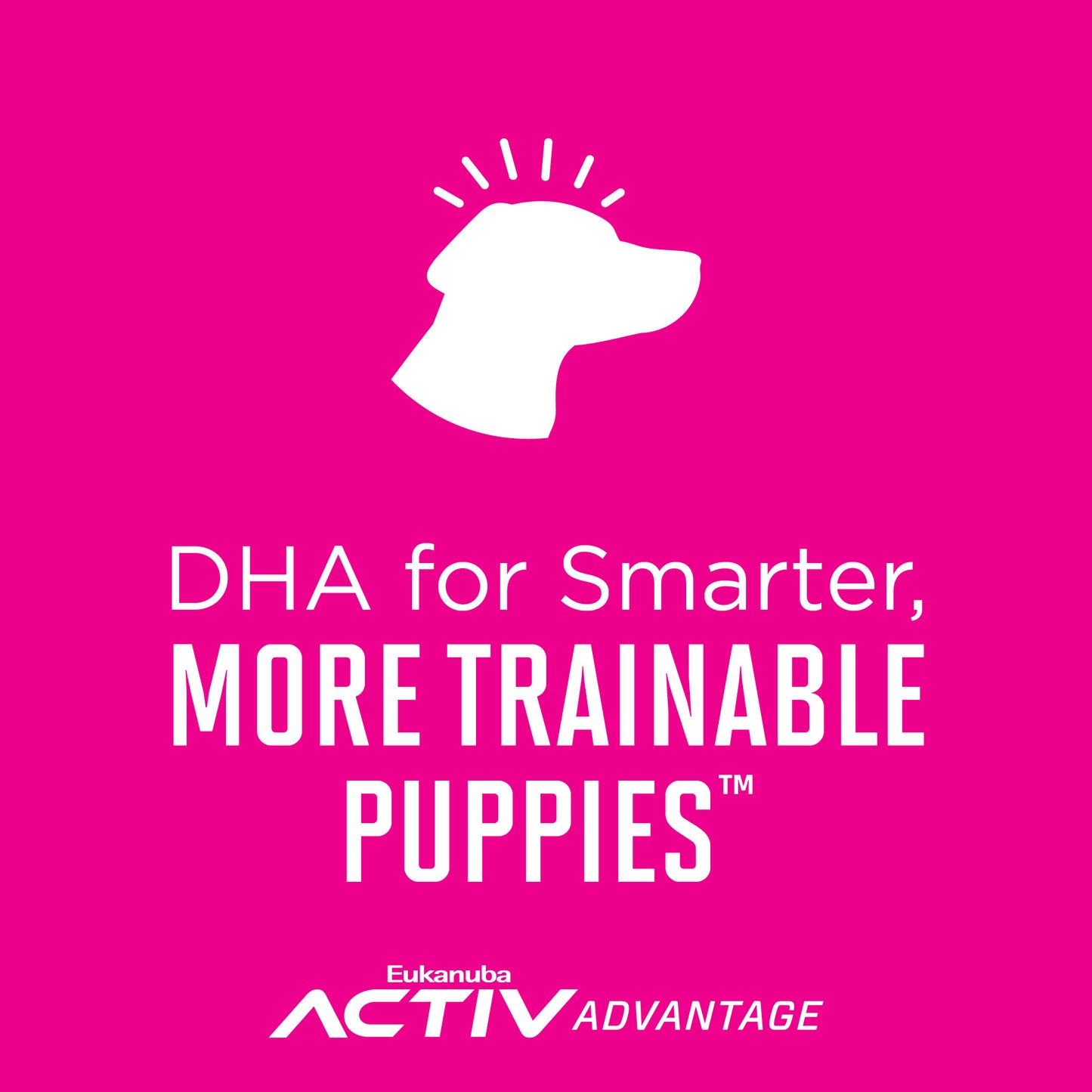 Eukanuba Active Advance Puppy Medium Breed Chicken