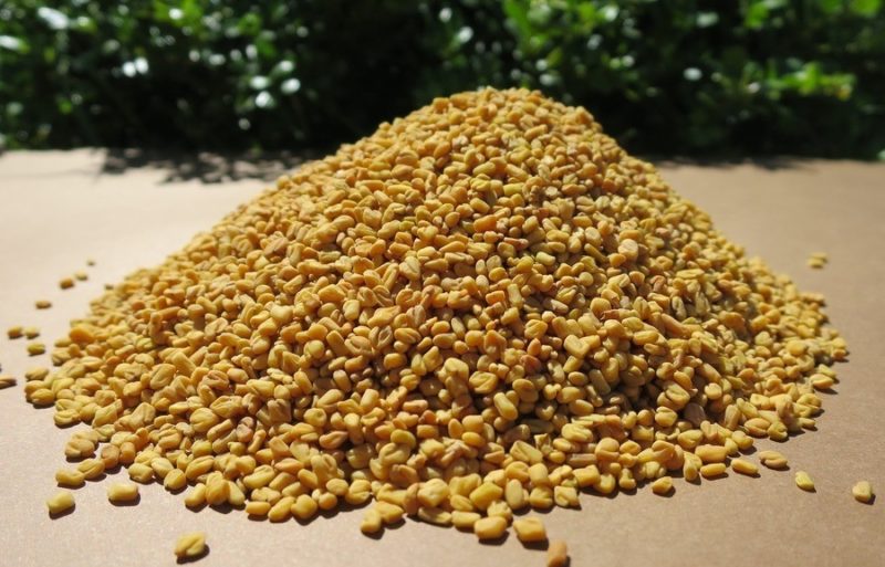 Honeyvale Herbs Fenugreek Seed