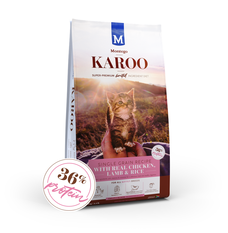 Montego Karoo Kitten Chicken & Lamb 2kg