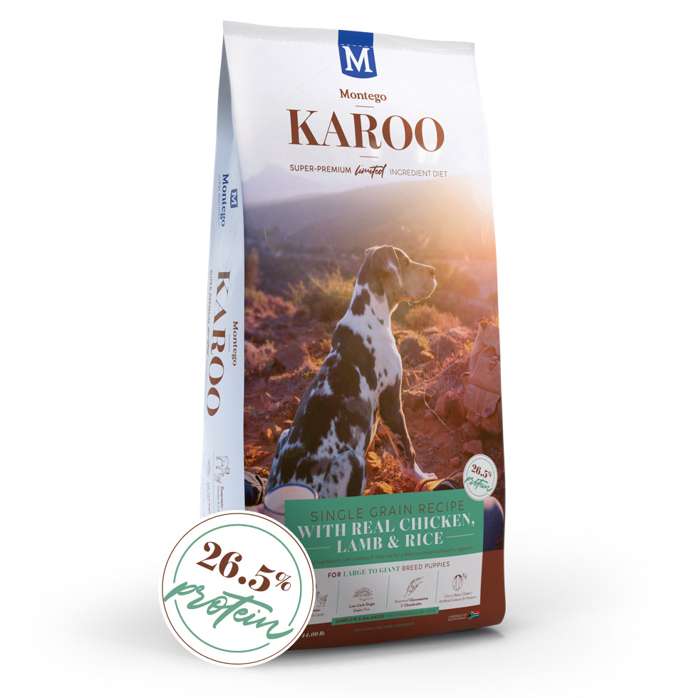 Montego Karoo Puppy Chicken & Lamb Large Breed 8kg