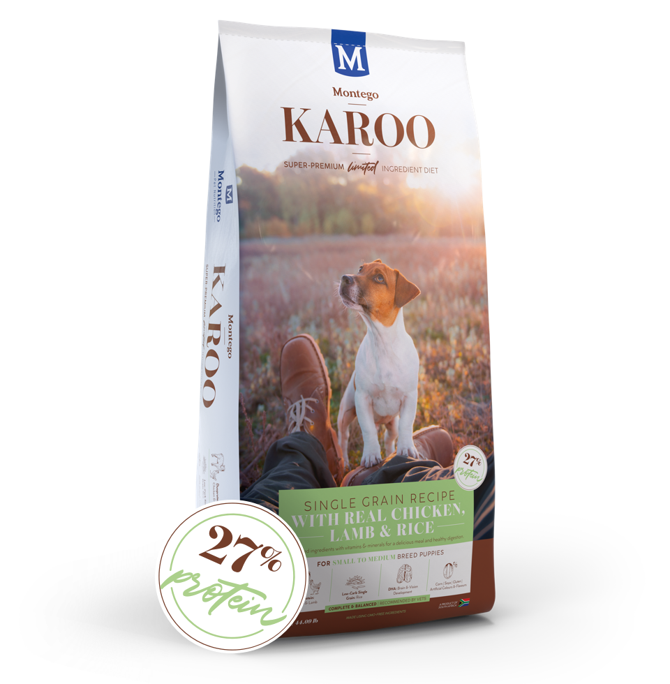 Montego Karoo Puppy Chicken & Lamb Small Breed 20kg