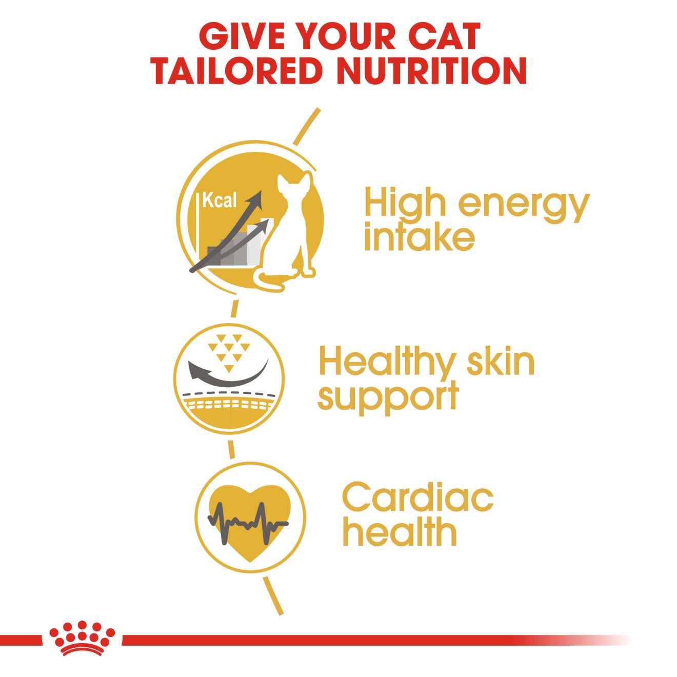 Royal Canin Sphynx Adult