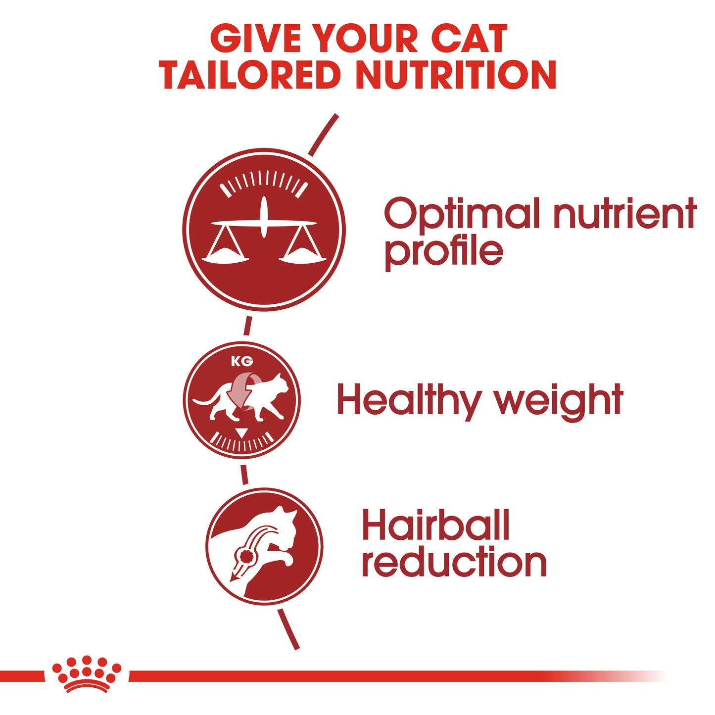 Royal Canin Regular Fit 32