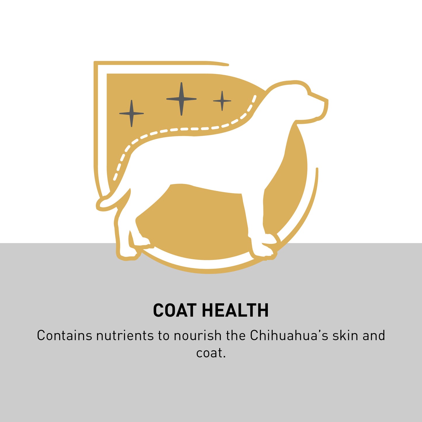 Royal Canin Chihuahua Adult Pouch