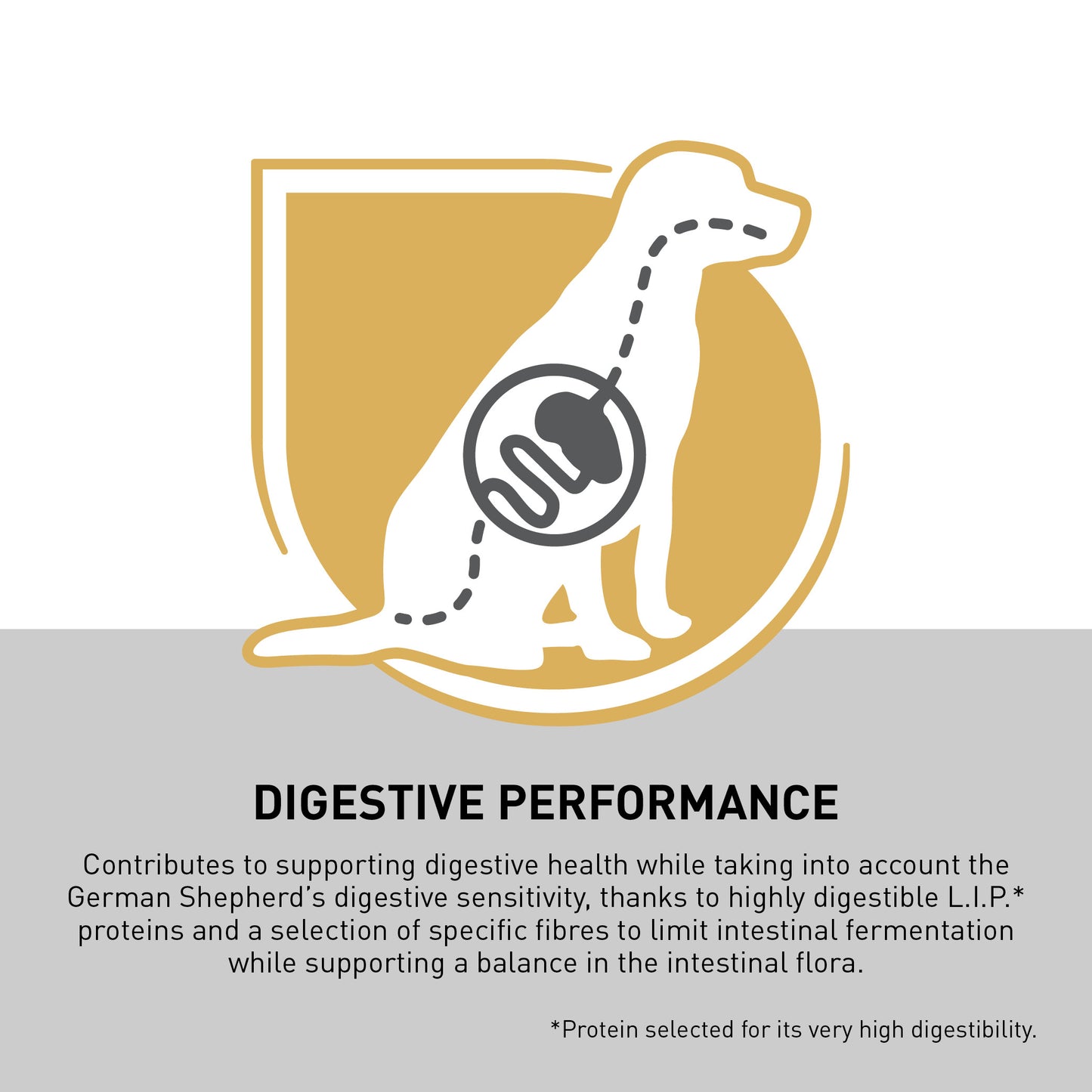 Royal Canin German Shepherd Adult
