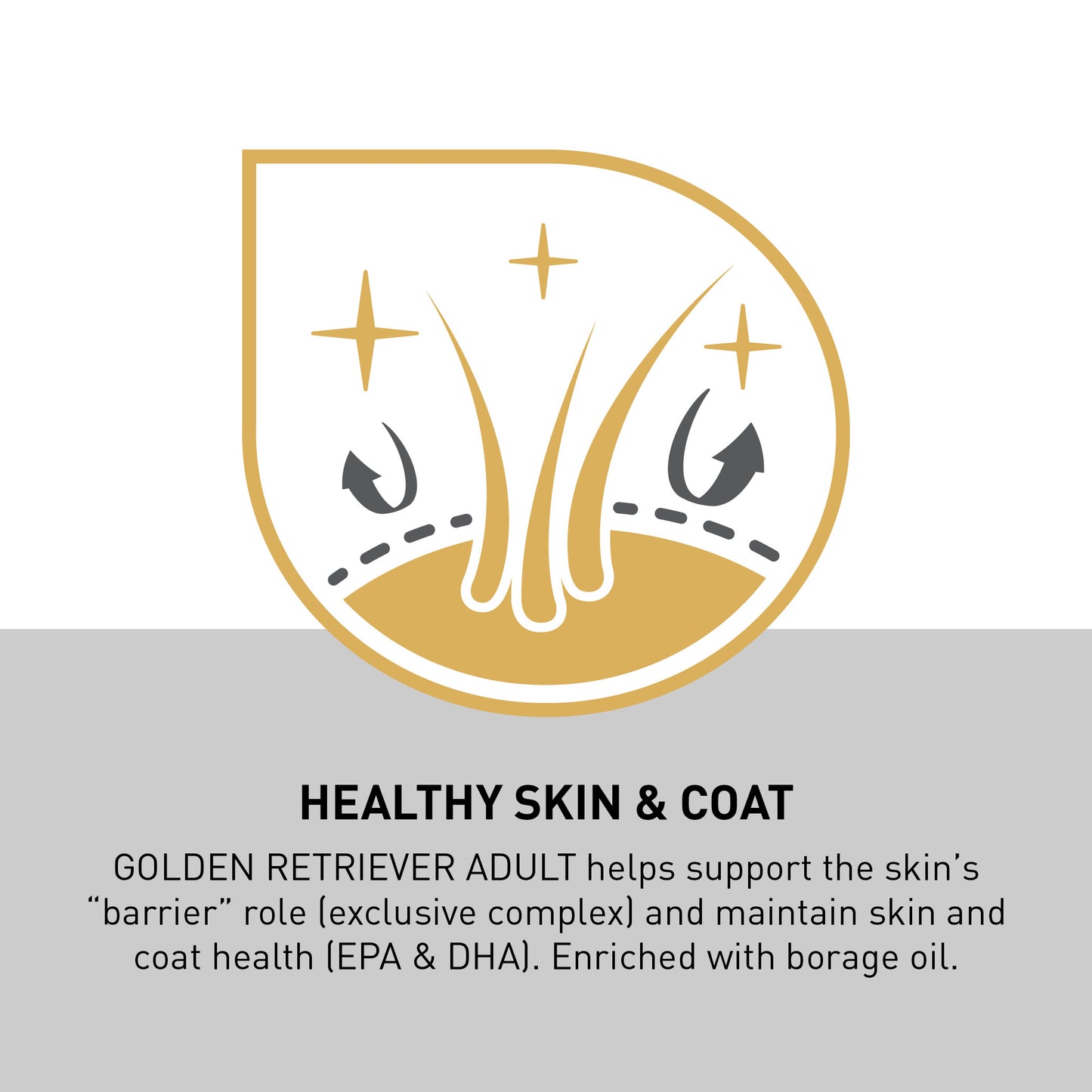 Royal Canin Golden Retriever Adult