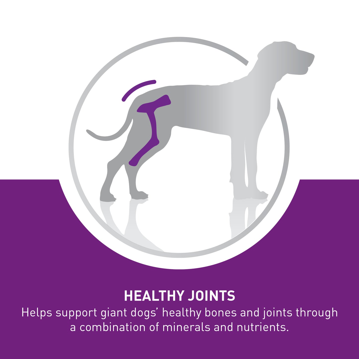 Royal Canin Adult Giant