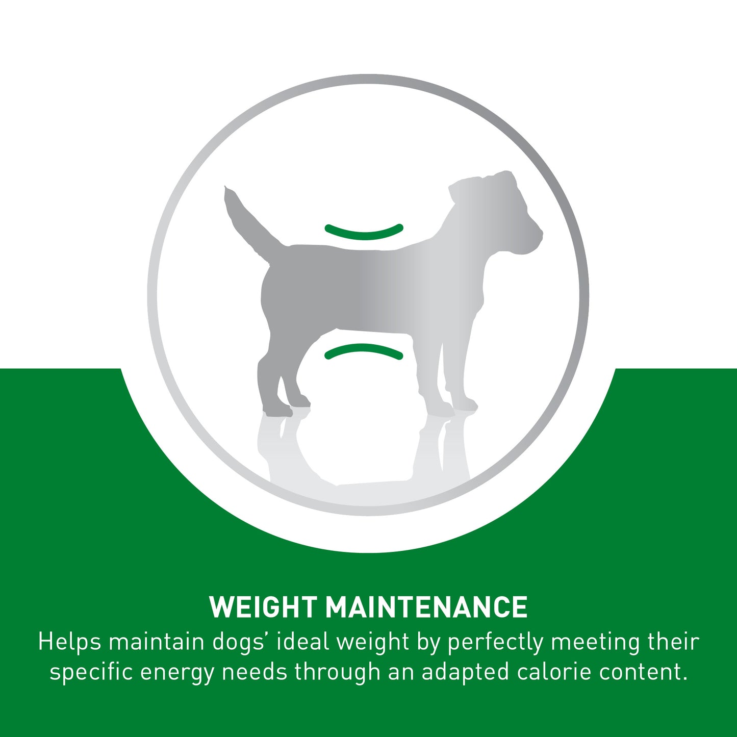 Royal Canin Ageing 8+ Mini