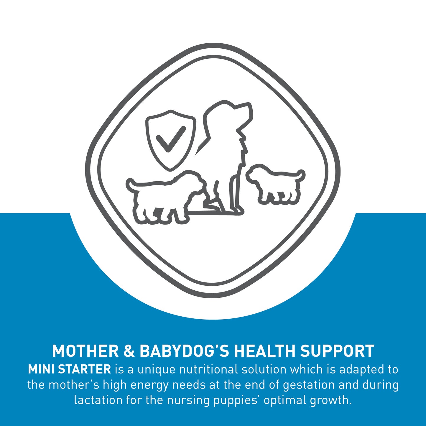 Royal Canin Starter Mother & Babydog Mini