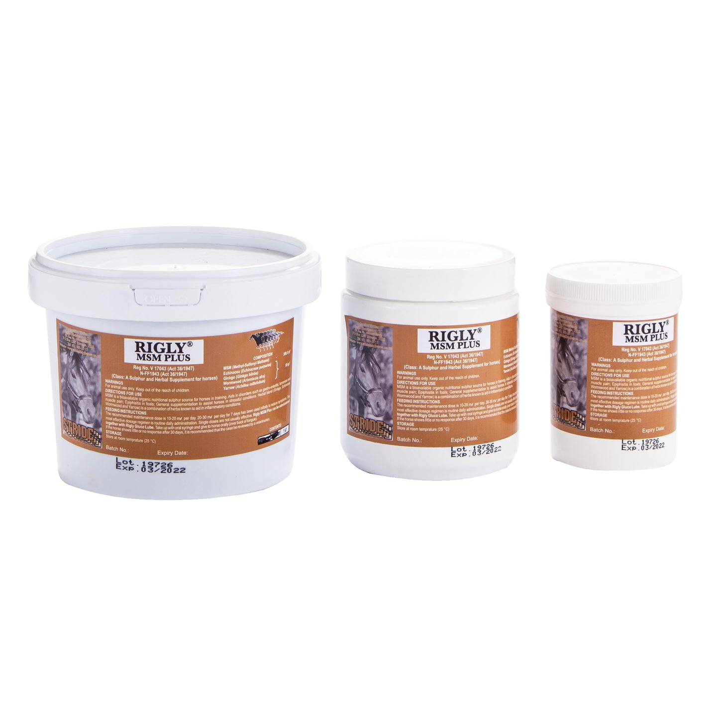 Rigly MSM Plus