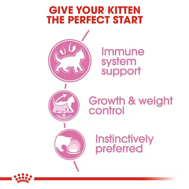 Royal Canin Kitten Sterilised in Jelly Pouch