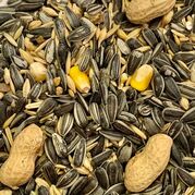 Pure Harvest Parrot Seed Mix 1kg