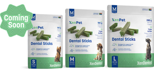 Montego Xenpet Dental Sticks 180g