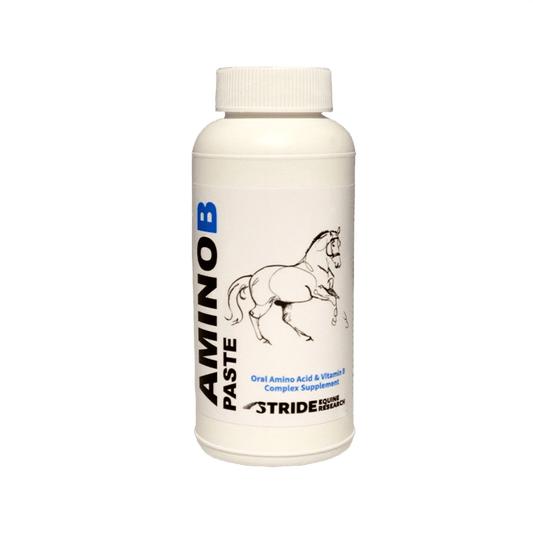 Stride Amino B Paste 250ml