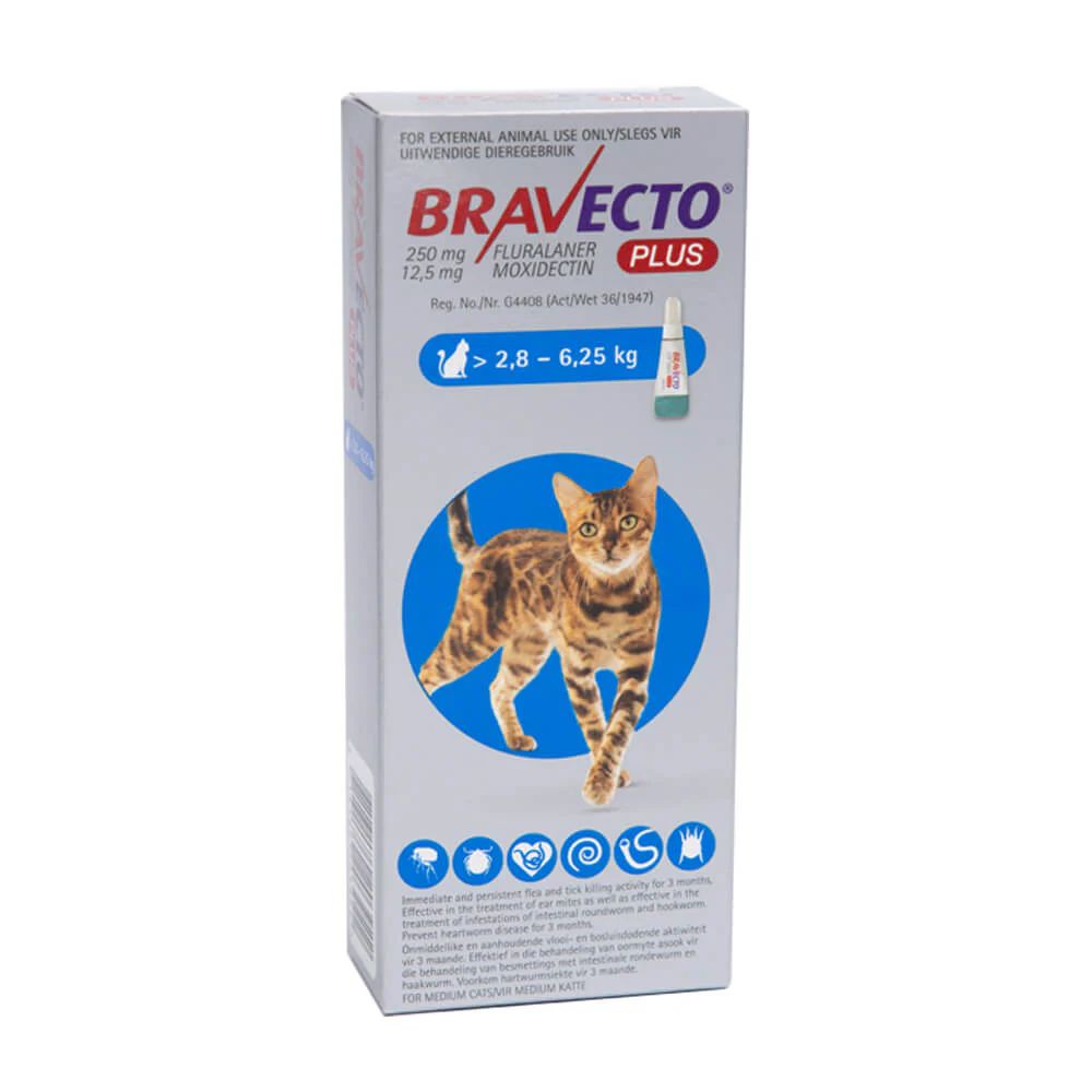 Bravecto Plus Cat 2.8 - 6.25kg (Blue)