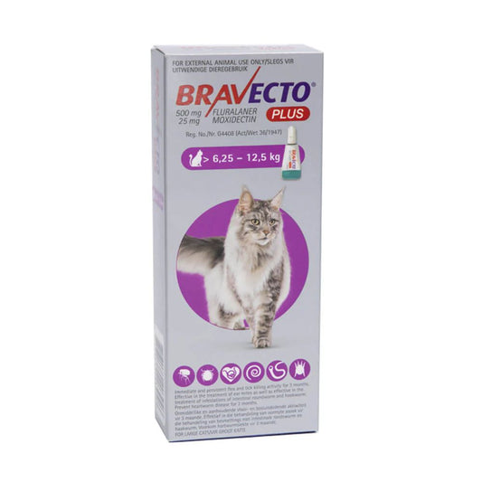 Bravecto Plus Cat 6.25 - 12.5kg (Purple)