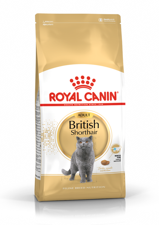 Royal Canin British Shorthair Adult