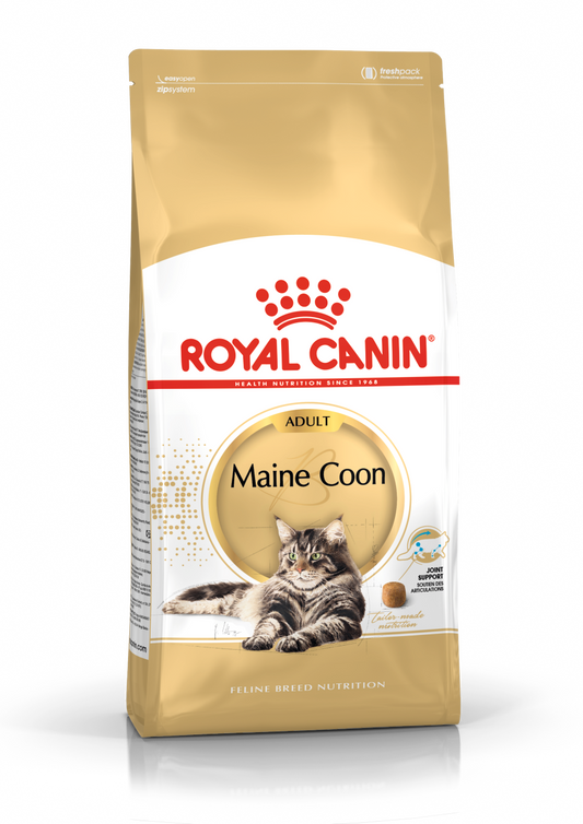 Royal Canin Main Coon Adult
