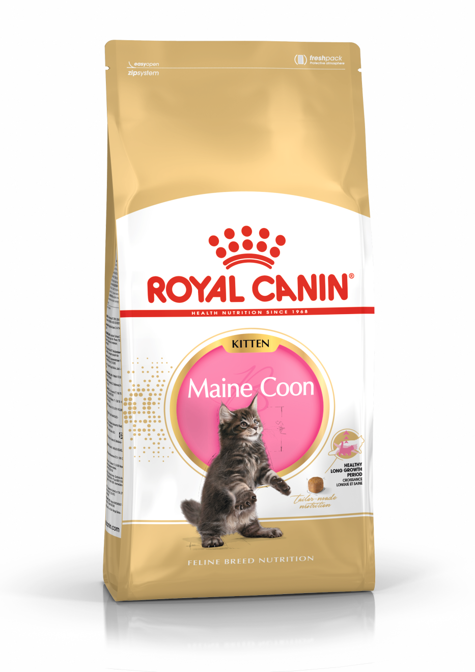 Royal Canin Main Coon Kitten