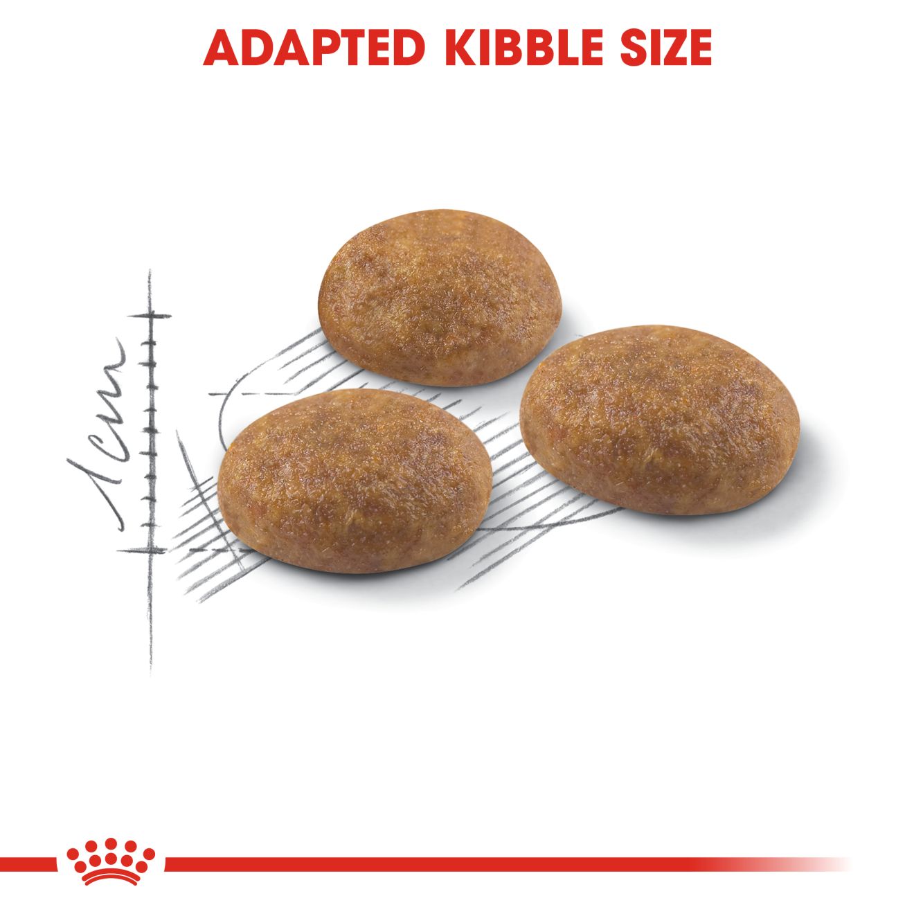 Royal Canin Active Life Outdoor