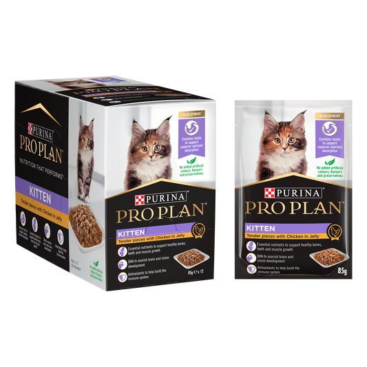 Pro Plan Feline Kitten Wet Chicken in JELLY