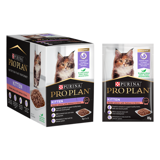 Pro Plan Feline Kitten Wet Salmon in Gravy