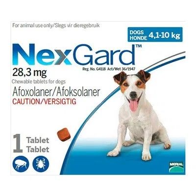 Nexgard (4.1-10kg) Medium (Blue) Sgl