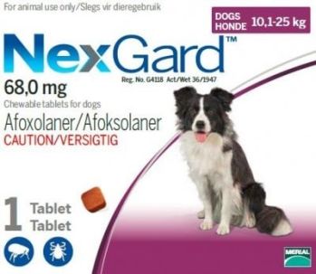 Nexgard (10.1-25kg) Large (Purple) Sgl
