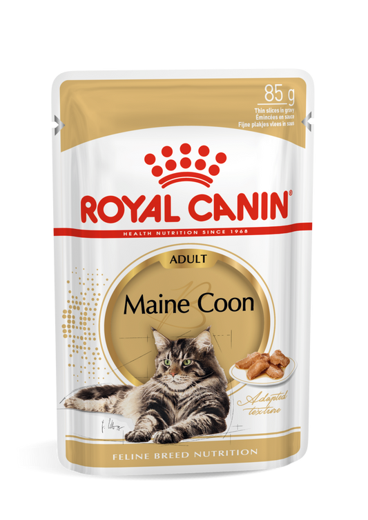 Royal Canin Main Coon Adult Pouch