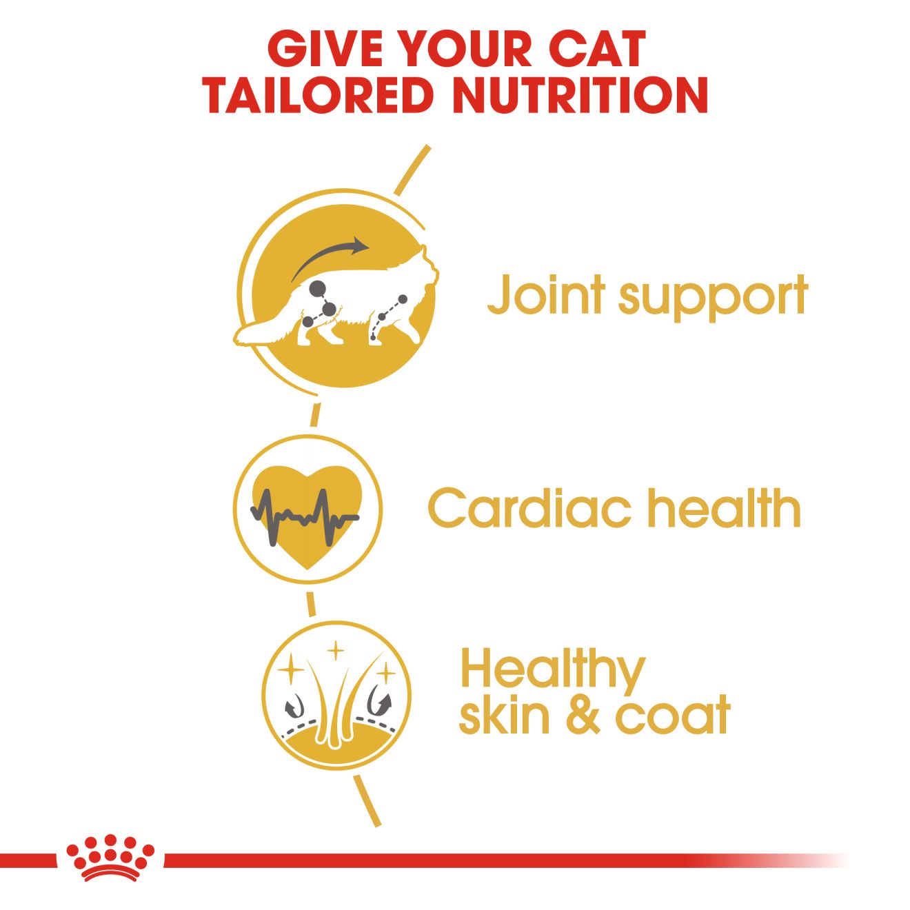 Royal Canin Main Coon Adult