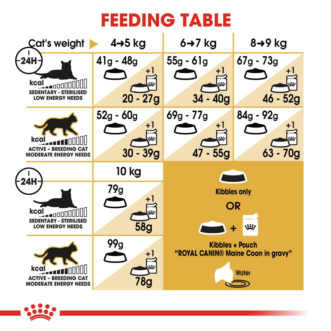 Royal Canin Main Coon Adult