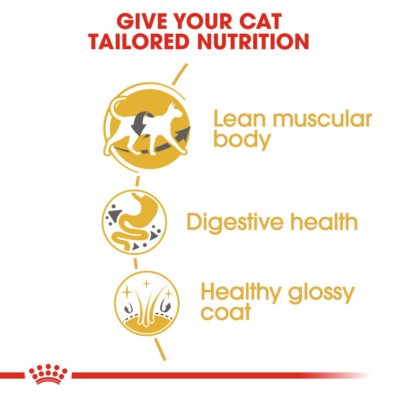 Royal Canin Siamese Adult
