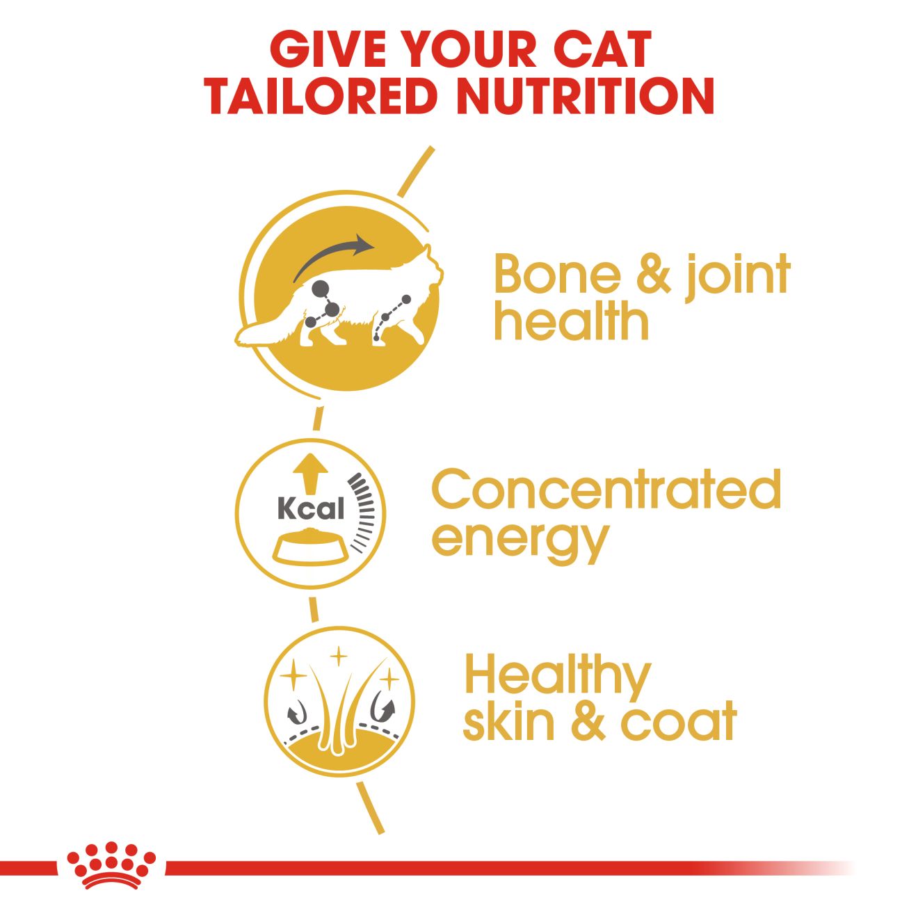Royal Canin Main Coon Adult Pouch