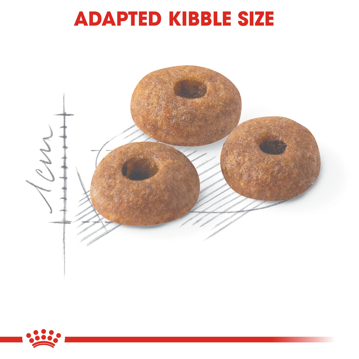 Royal Canin Regular Fit 32