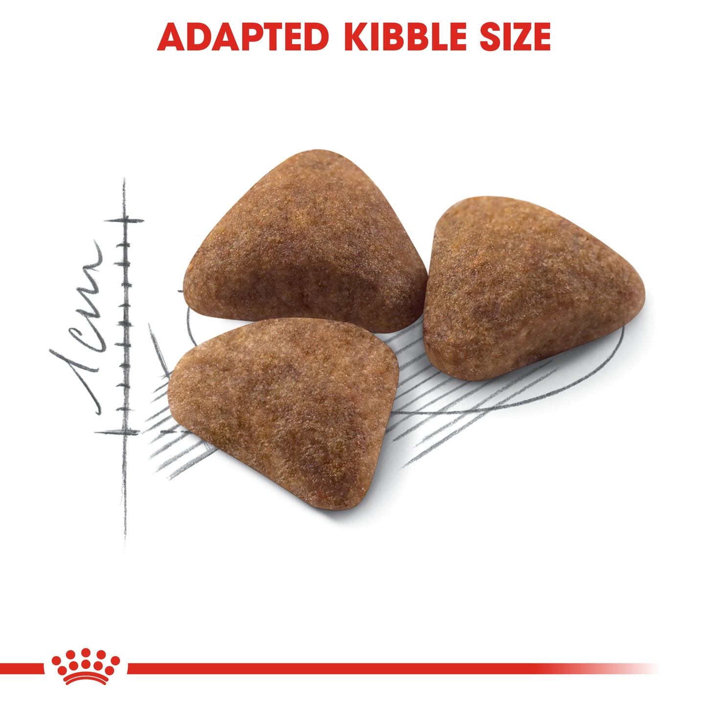 Royal Canin Home Life Indoor 27