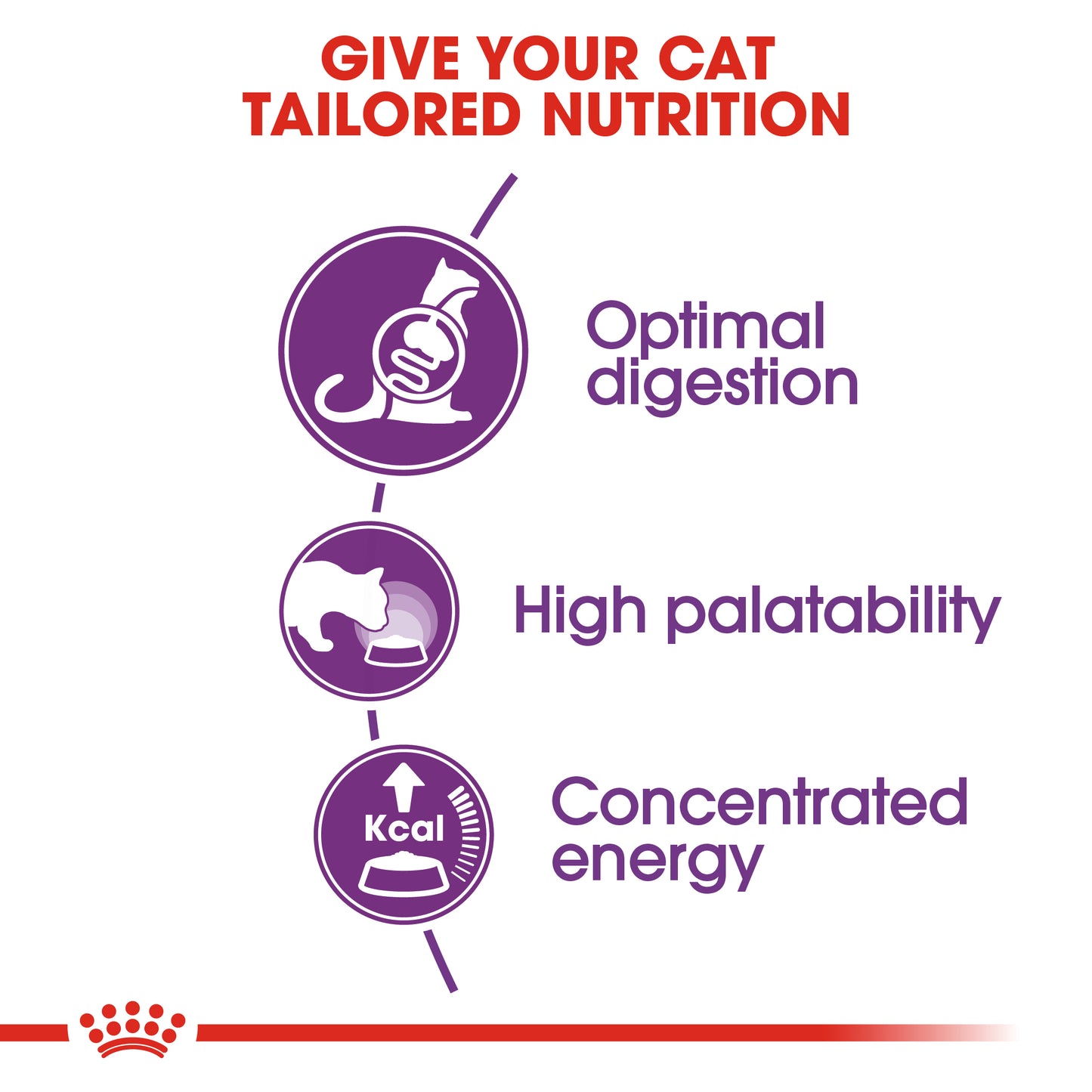 Royal Canin Regular Sensible 33