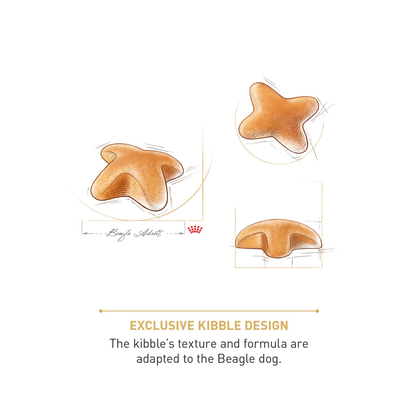 Royal Canin Beagle Adult