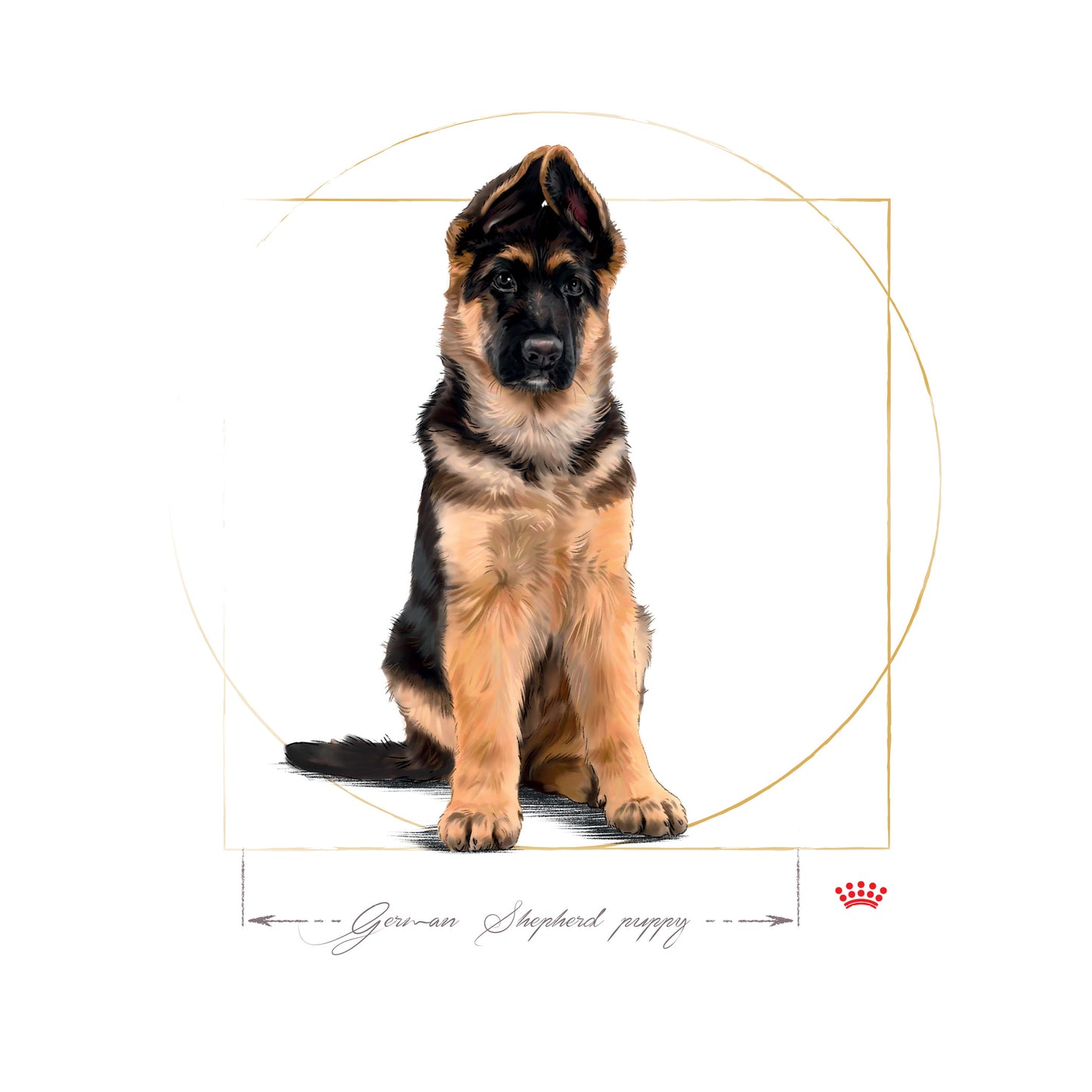 Royal Canin German Shepherd Puppy