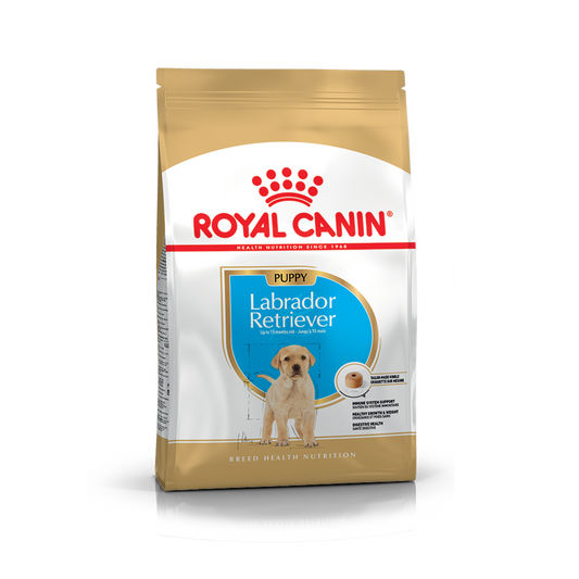 Royal Canin Labrador Retriever Puppy