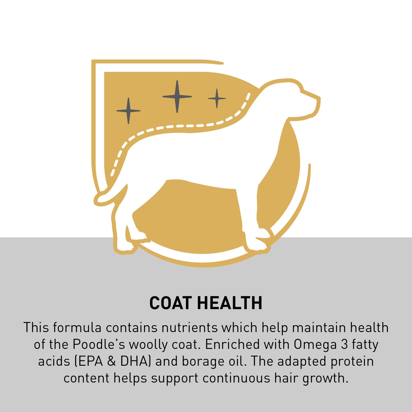 Royal Canin Poodle Adult