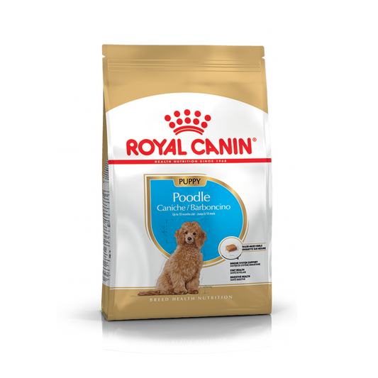 Royal Canin Poodle Puppy