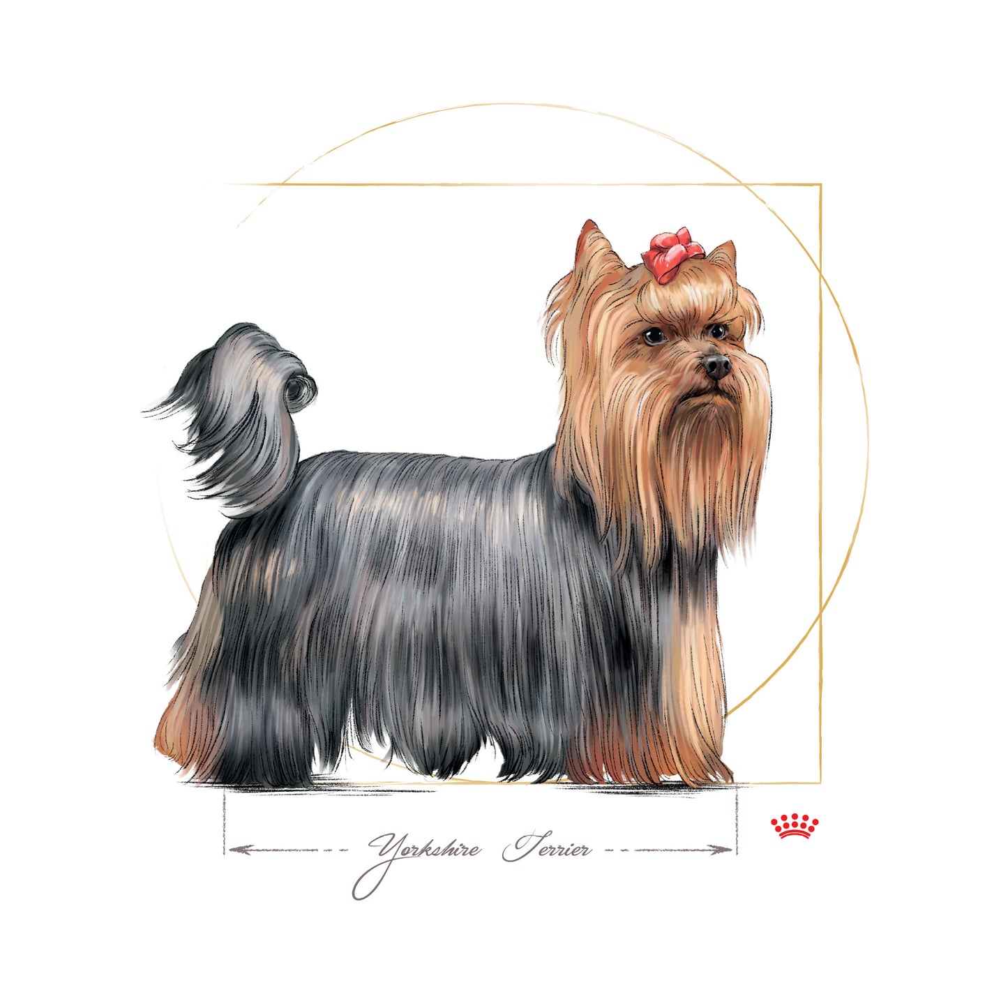 Royal Canin Yorkshire Terrier Adult Pouch