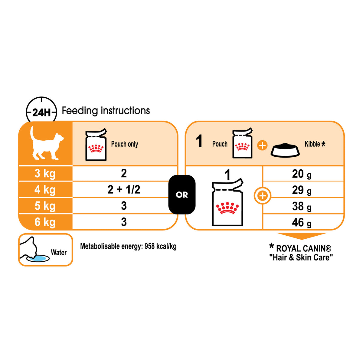 Royal Canin Hair & Skin Care Pouch
