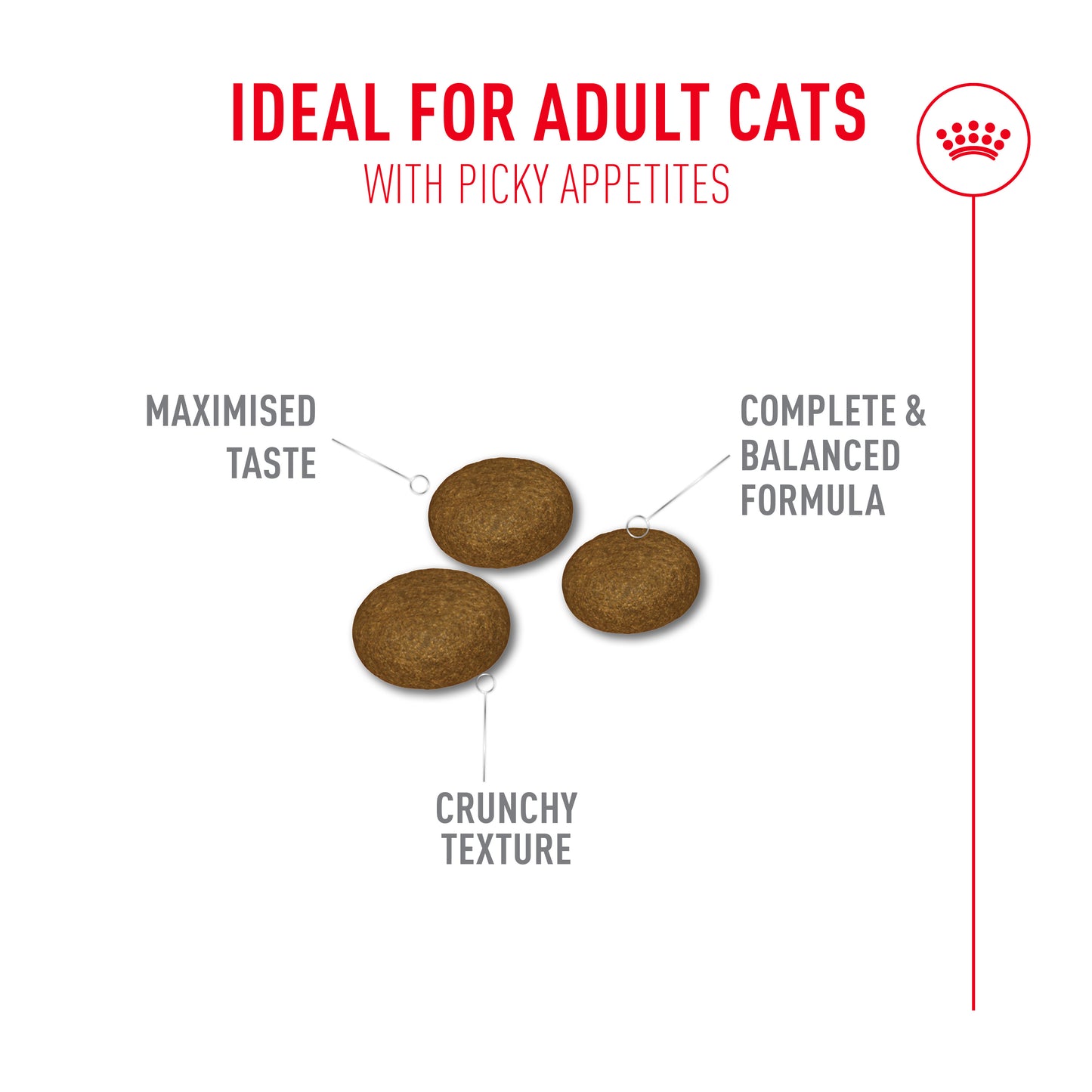 Royal Canin Fussy Exigent