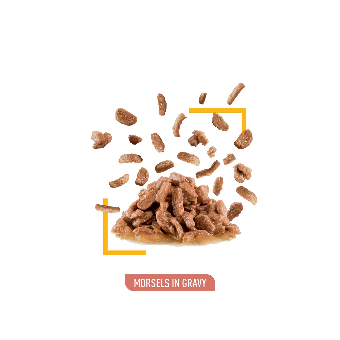 Royal Canin Sensory Taste Pouch