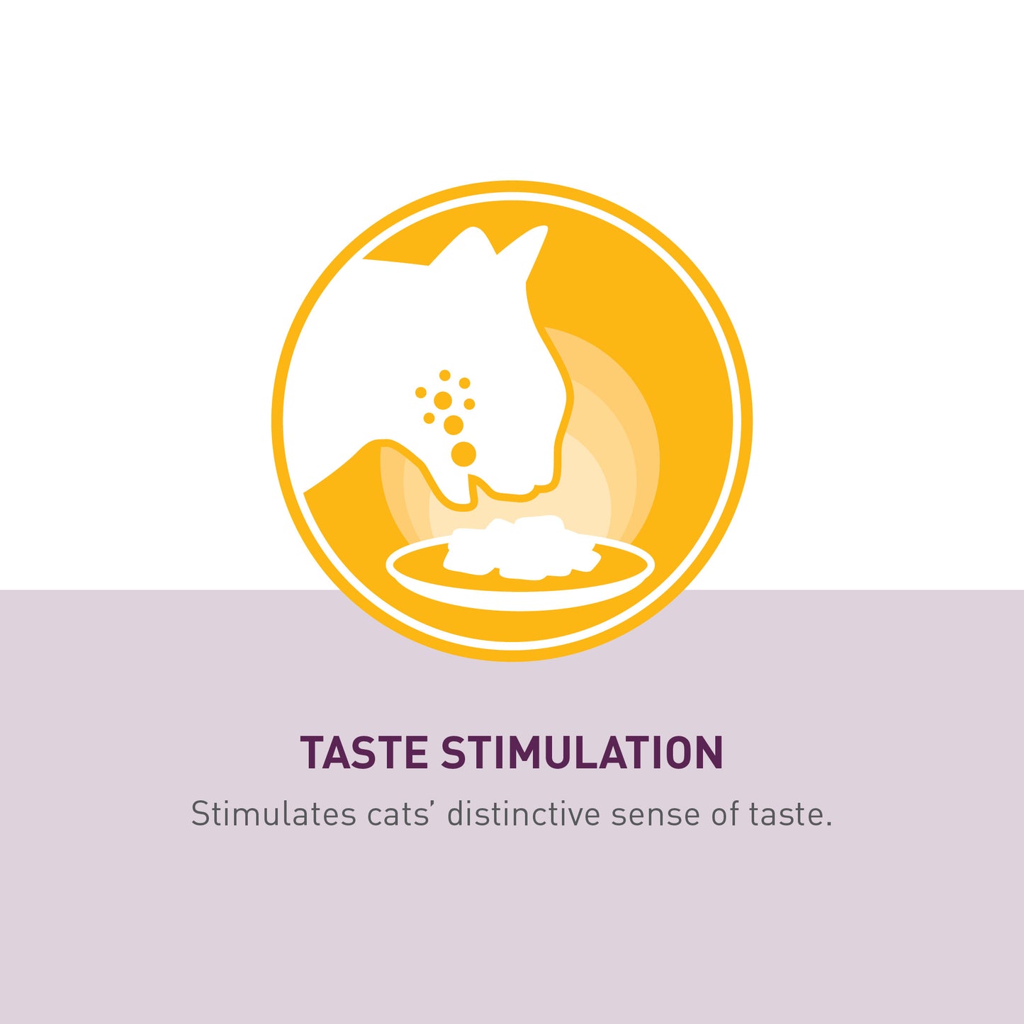 Royal Canin Sensory Taste Pouch