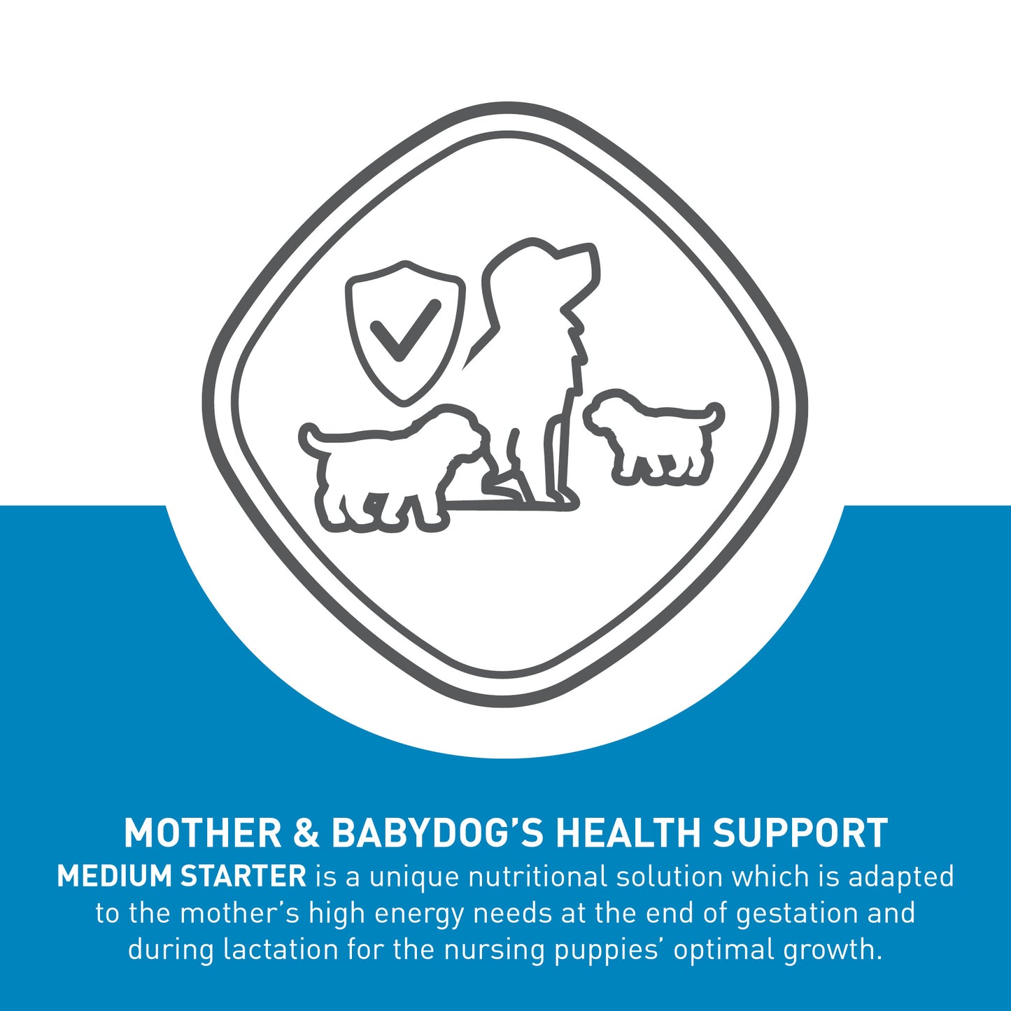 Royal Canin Starter Mother & Babydog Medium