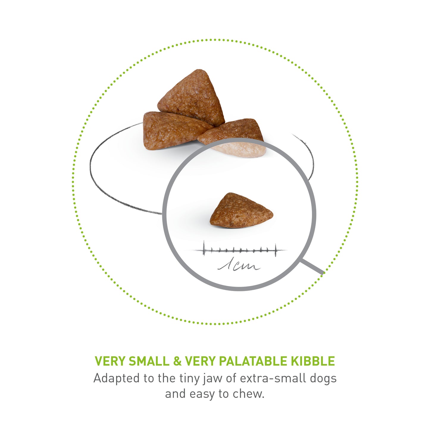Royal Canin Ageing 12+ X-Small